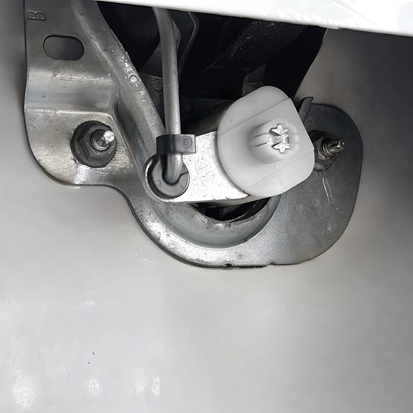 Innenseite der Hecktür eines Fiat Ducato ohne montiertes Prickstop Schutzblech – Ansicht vor Einbau
